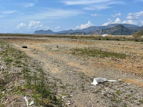 Dalyan İztuzu Plaj Yoluna Sıfır 19.600m2 Satılık Tarla