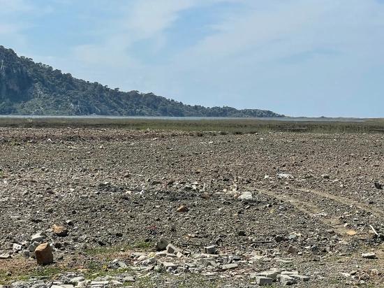 Dalyan İztuzu Plaj Yoluna Sıfır 19.600m2 Satılık Tarla