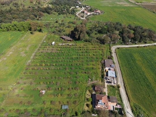 Eskiköy'de 11,000m2 Arsa İçinde Turizm Amaçlı İşletme Satılık