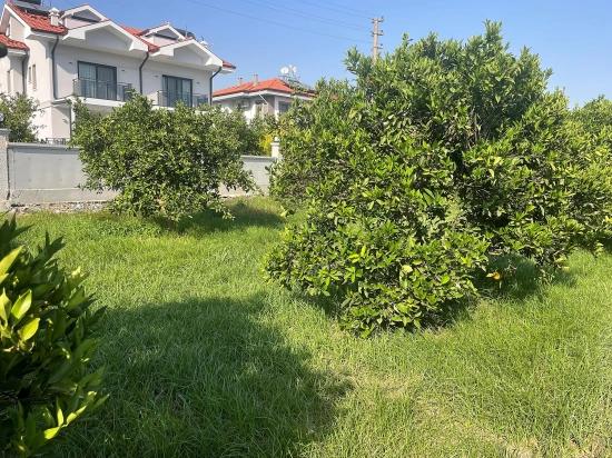 Dalyan Gülpınar'da 722m2 Satılık Arsa