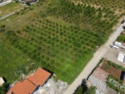 Ortaca Okçular Mah. Satılık Arsa - Konut İmar Durumlu - 1.050 m²