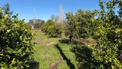 Ortaca Okçular Mah. Satılık Arsa - Konut İmar Durumlu - 2.218 m²