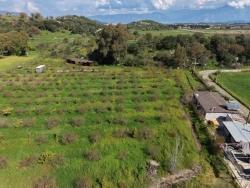 Ortaca Eskiköy Mah. Satılık Pansiyon - 11.000 m²