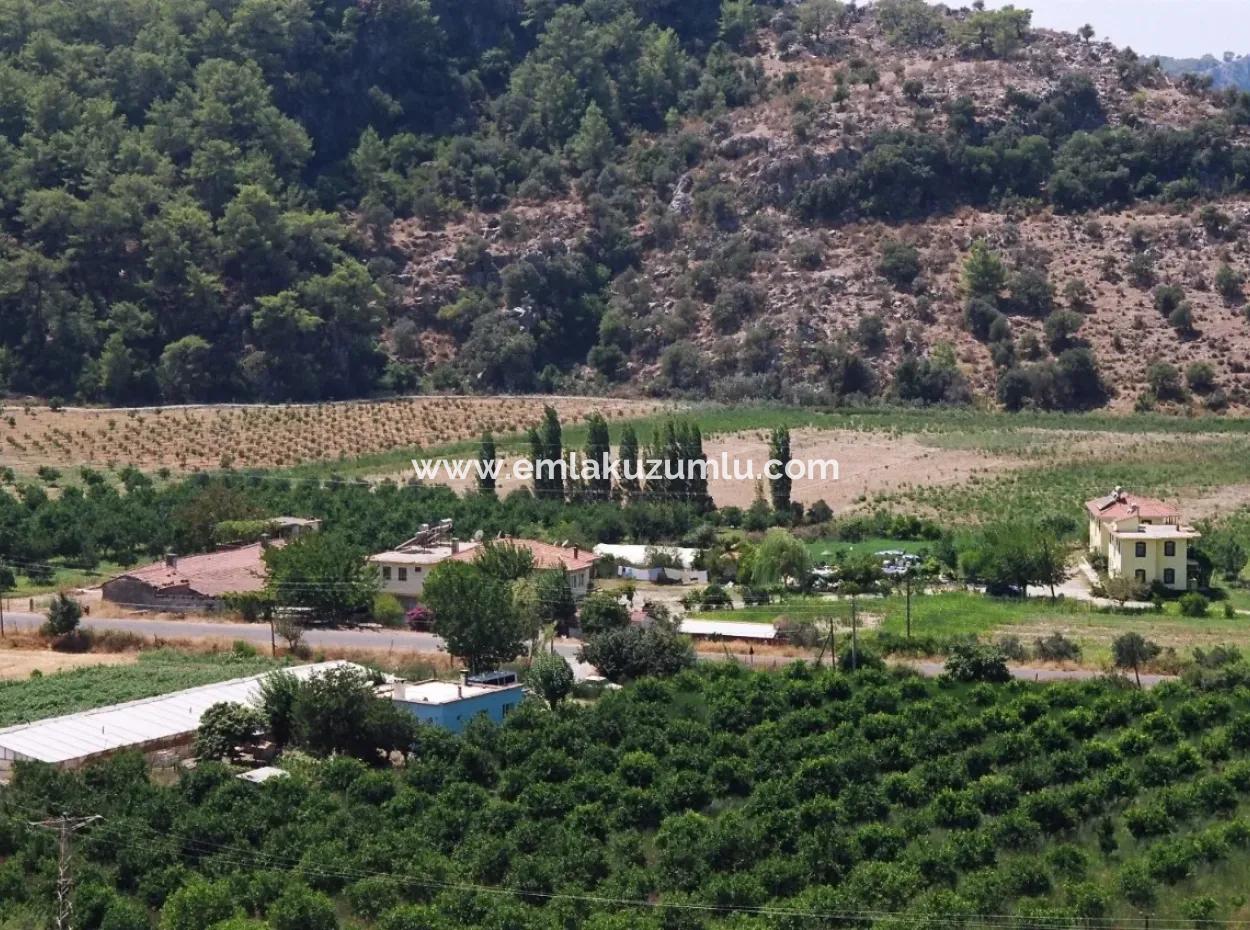 Gökbelde Satılık Arsa Dalyan İztuzu Yoluna Sıfır 7484M2 Göle Sıfır Satılık Arsa