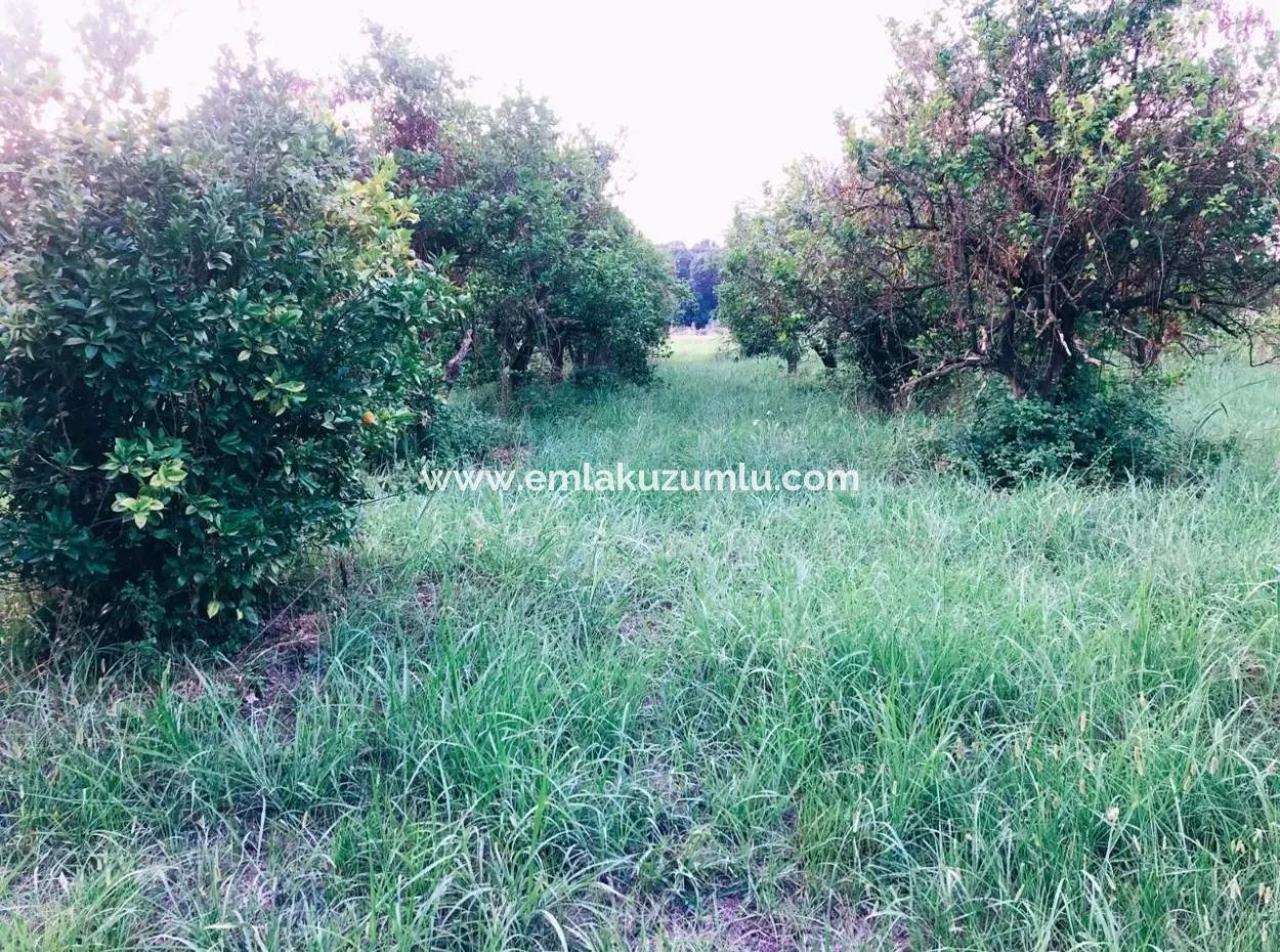 Okçularda Satılık Arsa Okçular Marmarlı Satılık  1,500M2 Satılık Arsa