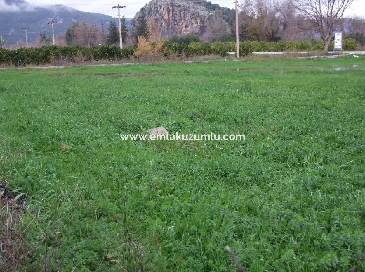 Dalyan Gülpınar Satılık Arsa Dalyan 1,002M2 Satılık Köşenası Satılık Arsa
