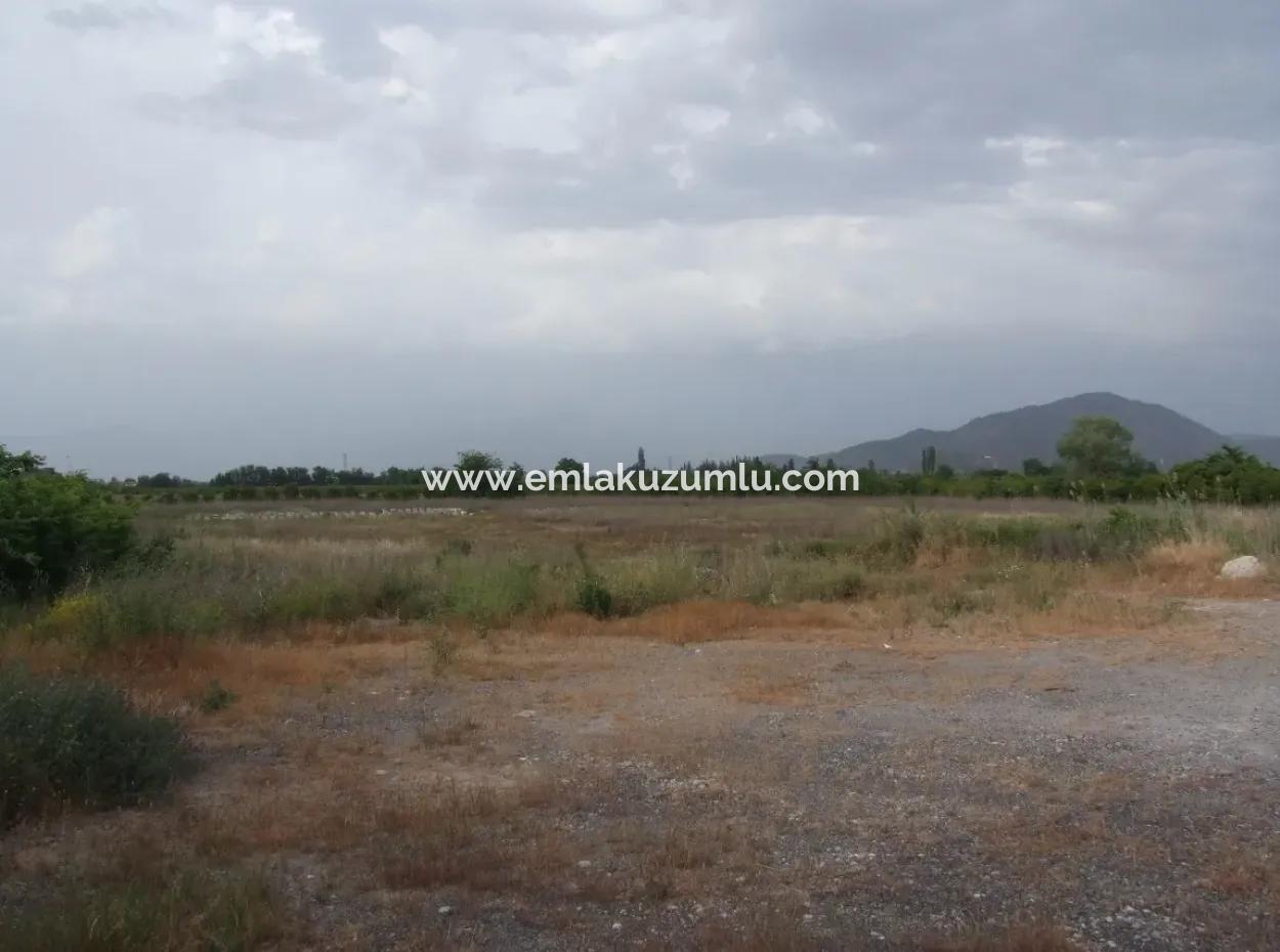 Dalyan Satılık Ticari Arsa Dalyan Anayol Üzerinde 17,805M2 Satılık Kelepir Arsa