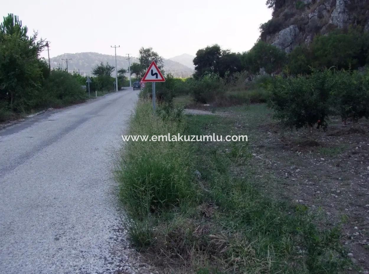 Mergenlide Satılık Nar Bahçe Ortaca Mergenlide Satılık Arsa