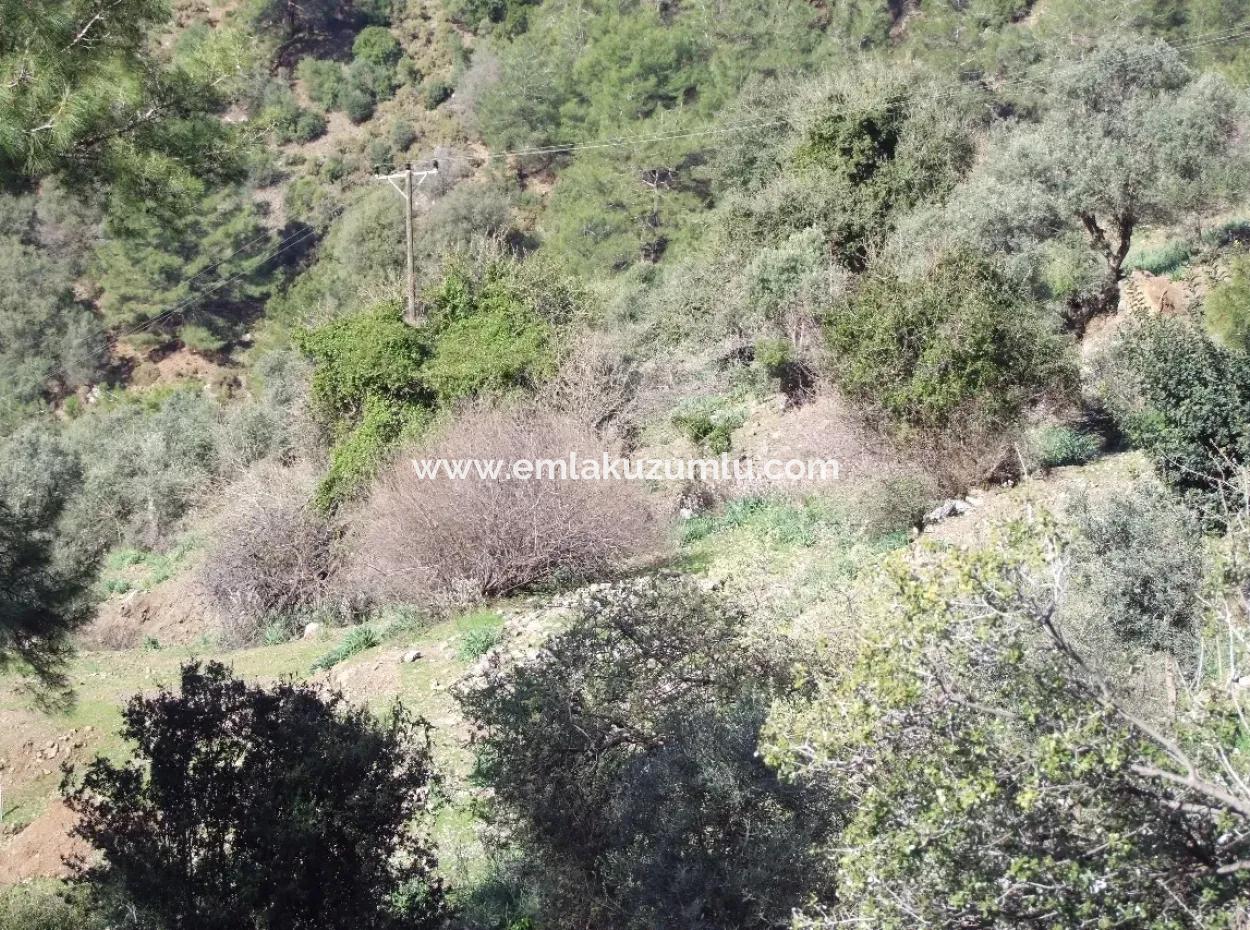 Gökbelde Satılık Tarla Arsadeniz Manzaralı Satılık Arsa