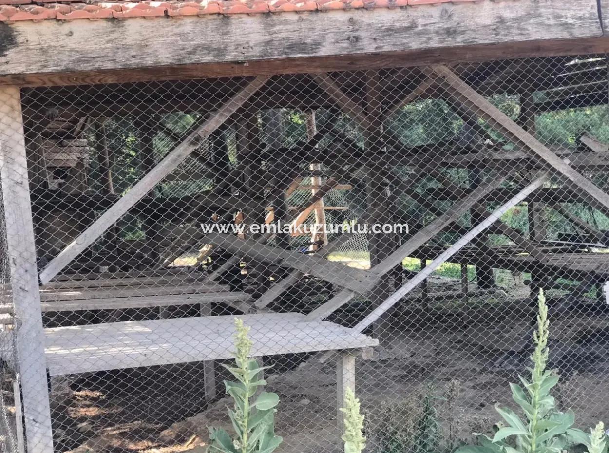 Seydikemer Korubükün Satılık 76000M2 Ciftlik Arazisi