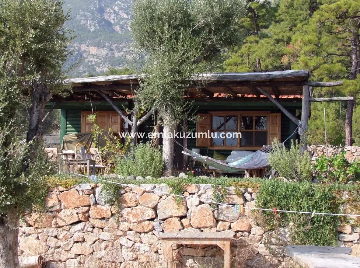 Akbuk Satilik Denize Sifir Bungolev Turnali 800m2 Arsa Icinde Denize Sifir Satilik Villa