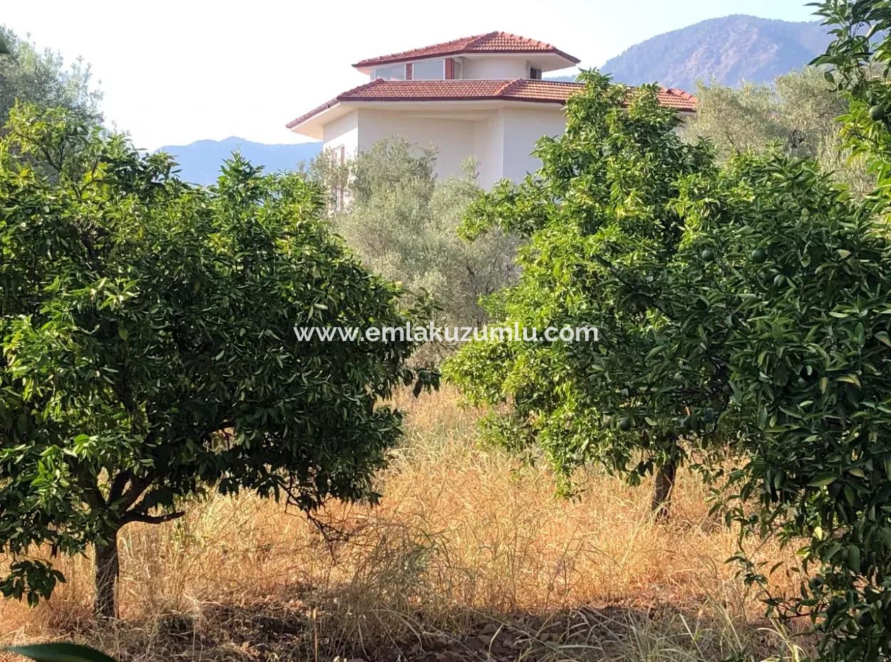 Köyceğiz Yangı'da Satılık Arsa Tarla 9406M2 Satılık Arsa