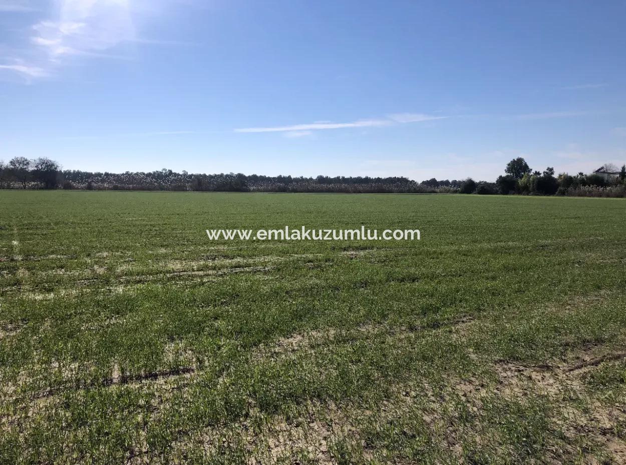 Sarıgermede Satılık Arsa Deniz Manzaralı 30,000M2 Satılık Arsa