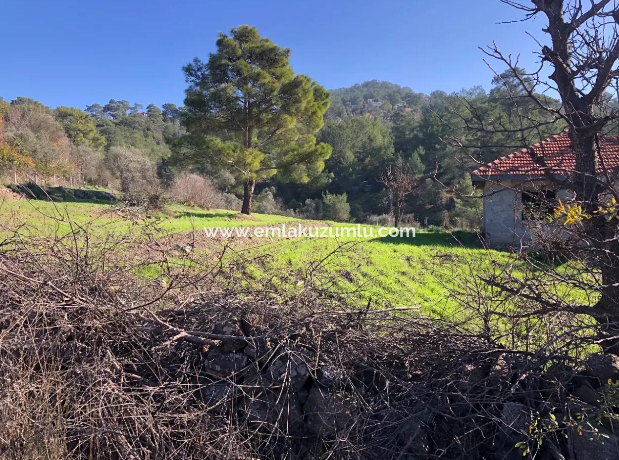 Gökbel Satılık Arsa Full Deniz Manzaralı 8000M2 Satılık Arsa