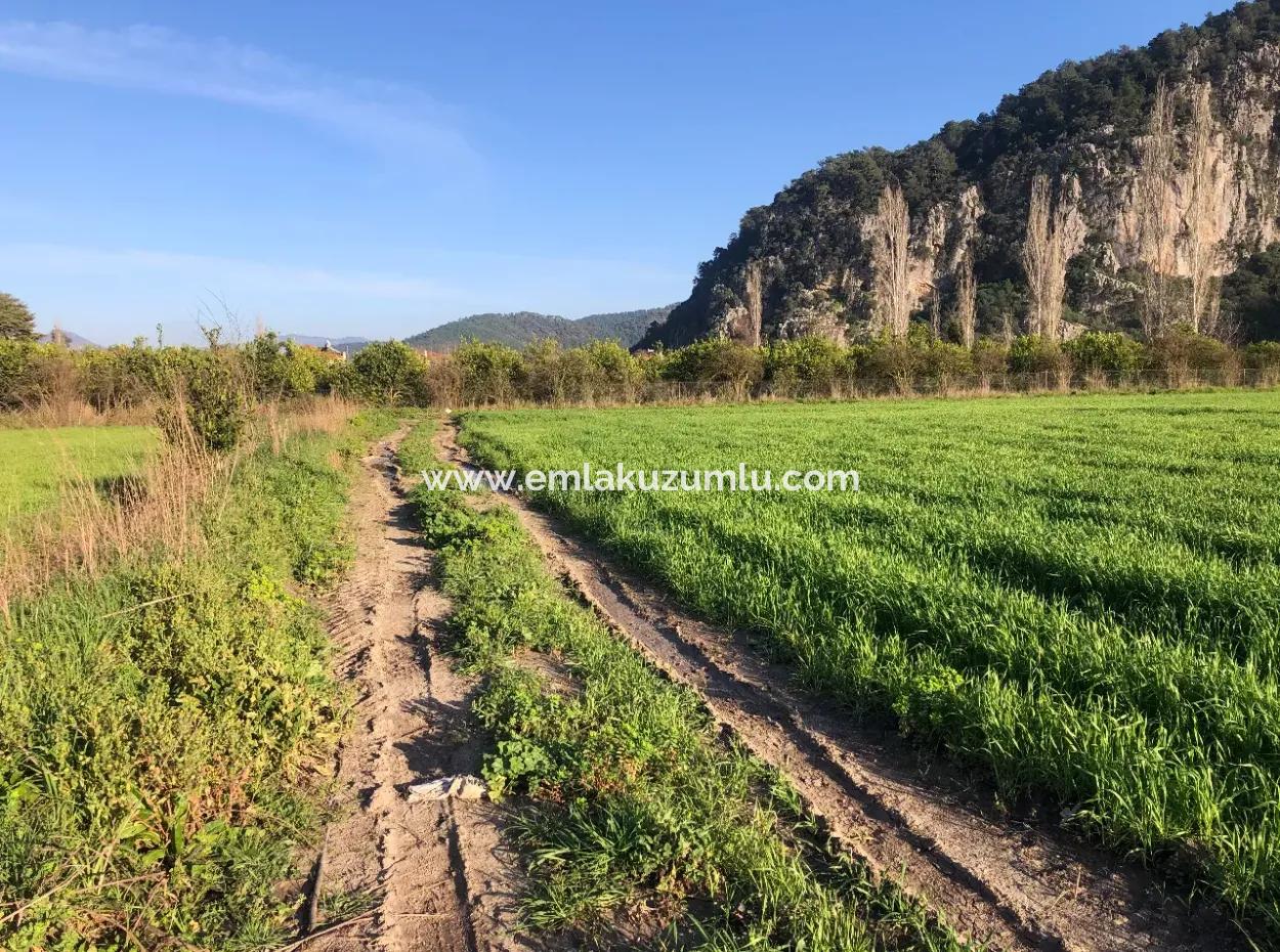 Okçular Satılık Arsa Marmarlı 1500M2 Satılık Arsa