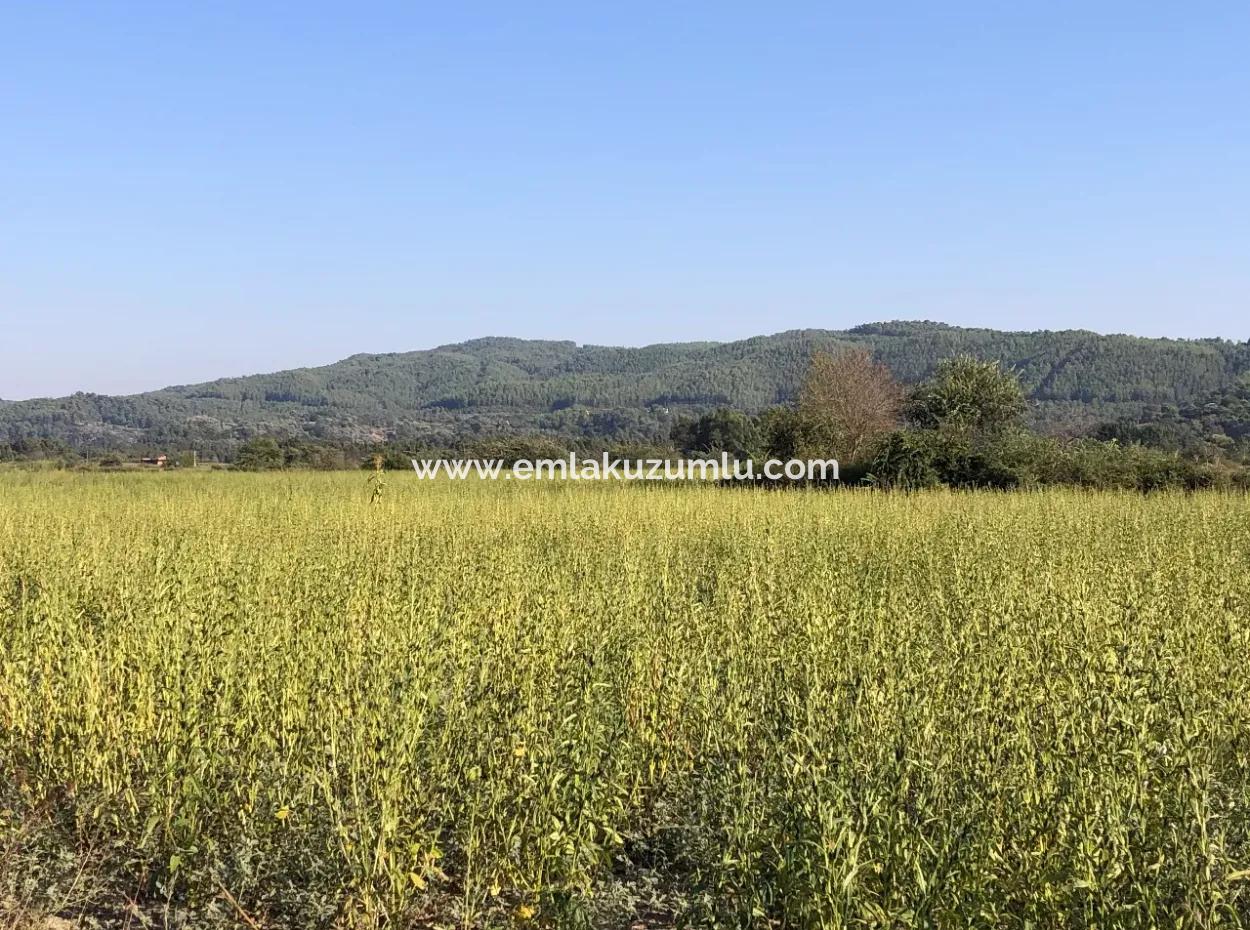 Akçapınarda Satılık Tarla 100 Dönüm Satılık Tarla
