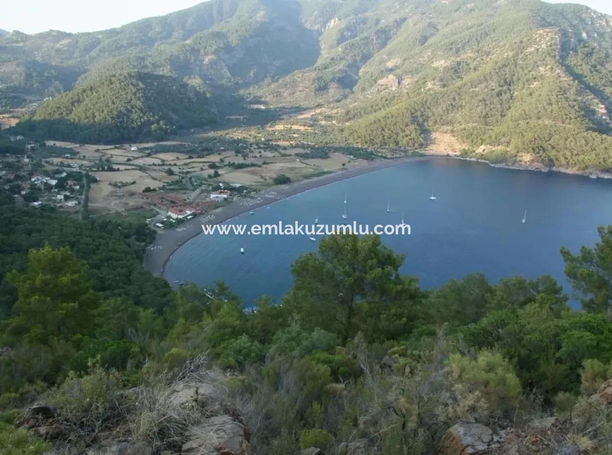 Ekincik Satılık Arsa Full Deniz Manzaralı 10885M2 Denize Bir Parsel Satılık Arsa