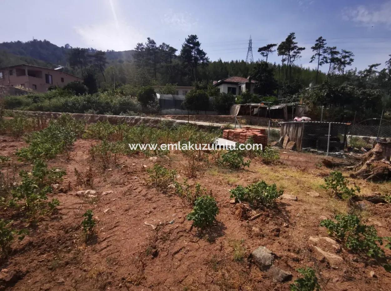 Marmaris Çamlı Satılık 1245M2 İmarlı Arsa