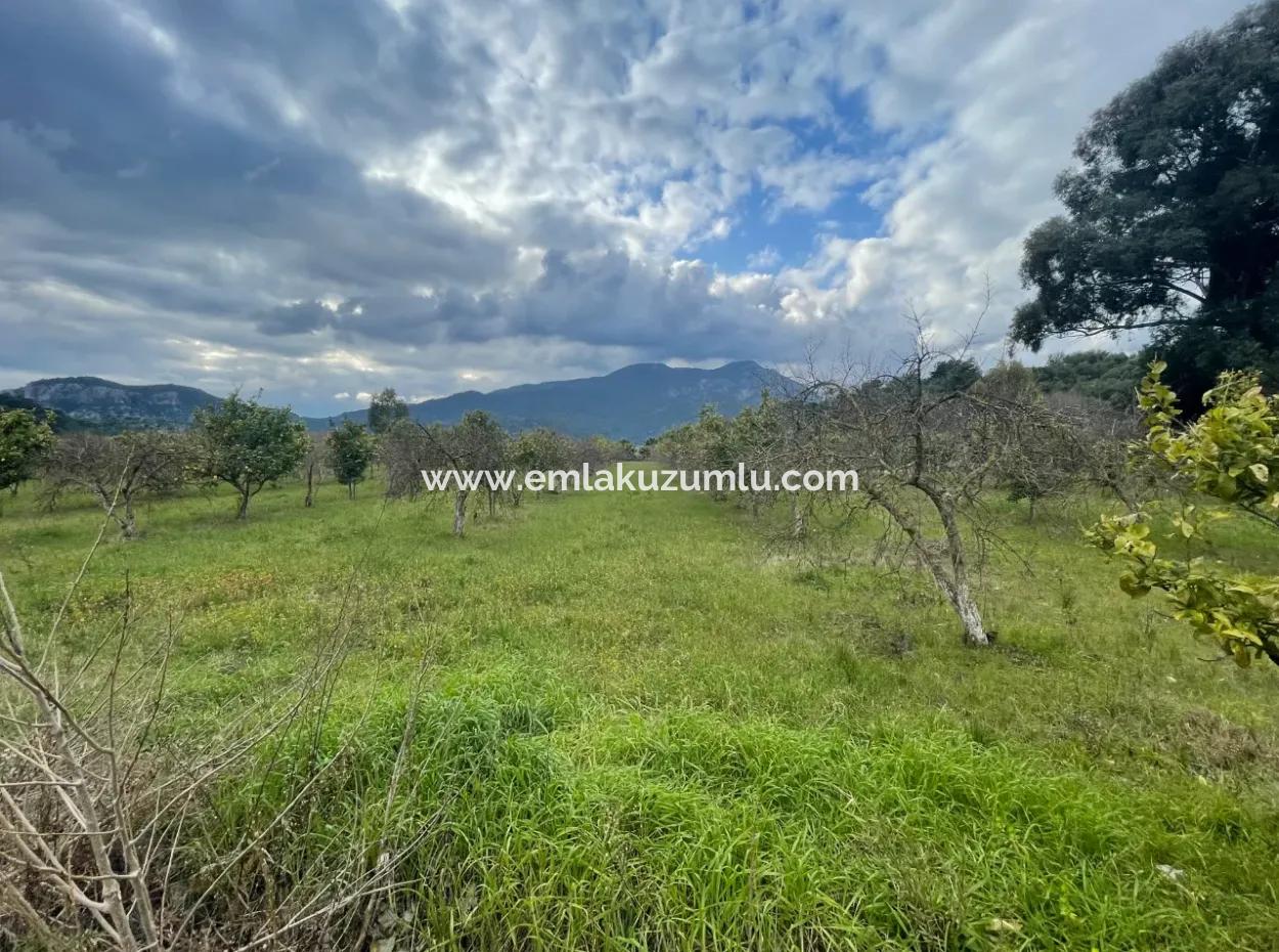 Dalyan Satılık Butik Otel 11.000M2 Arsa İçinde Satılık Bungolevler