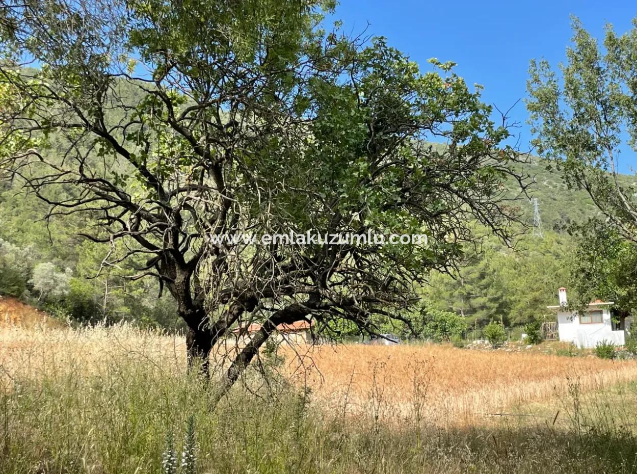 Ula Armutçuk Da 501M2 İmarlı Satılık Arsa