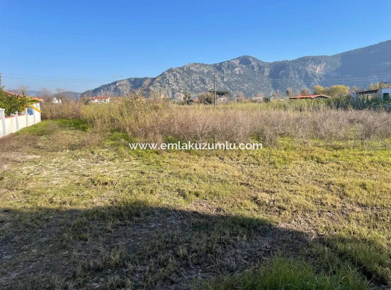 Dalyan 1000M2 Köşebaşı %20 Satılık Arsa