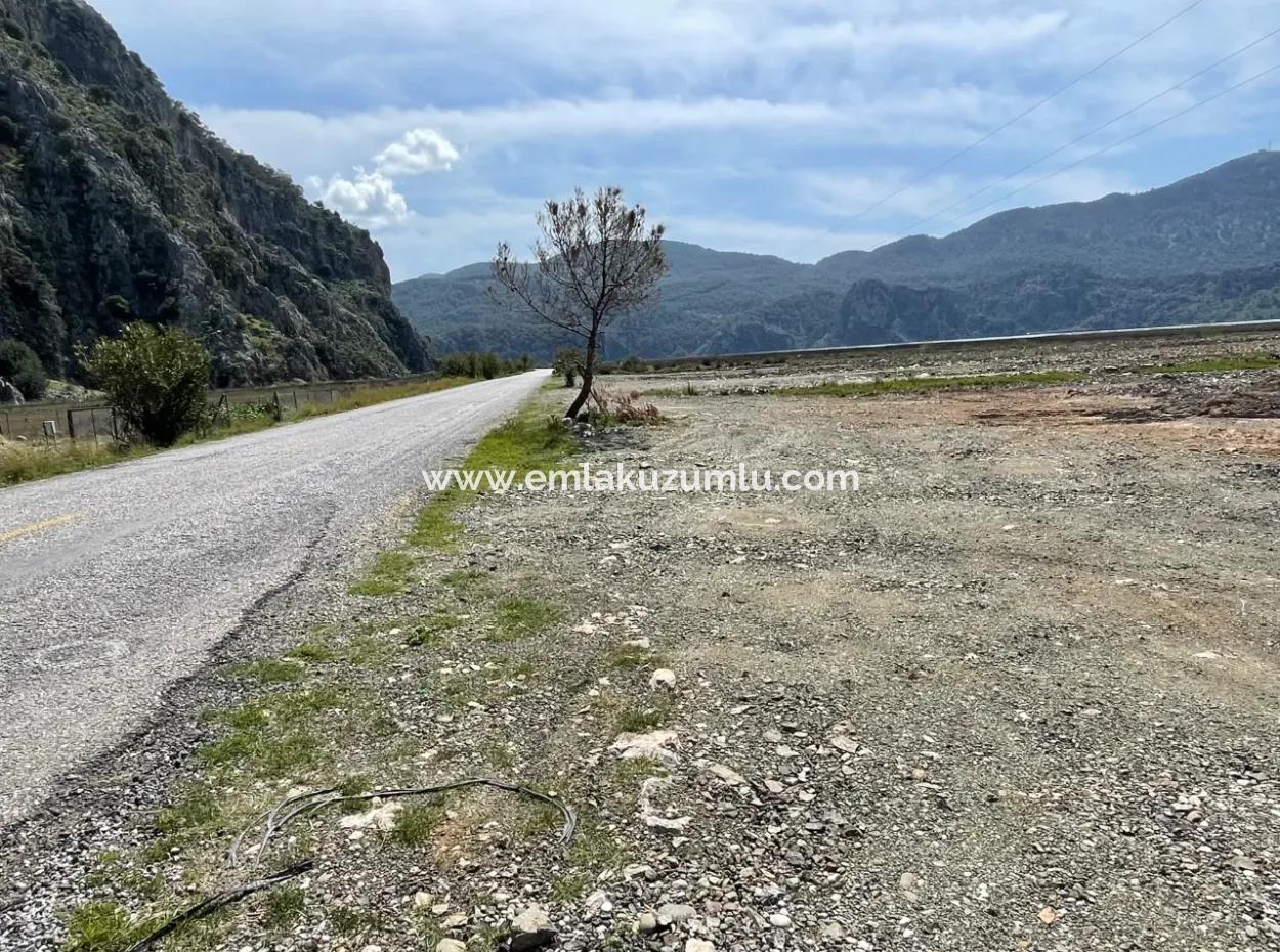 Dalyan İztuzu Plaj Yoluna Sıfır 19,600M2 Satılık Tarla Arazi