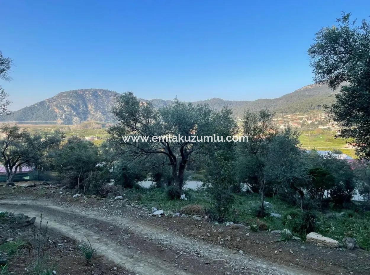 Çandır Göl Deniz Manzaralı 2,806M2 2B Satılık Tarla