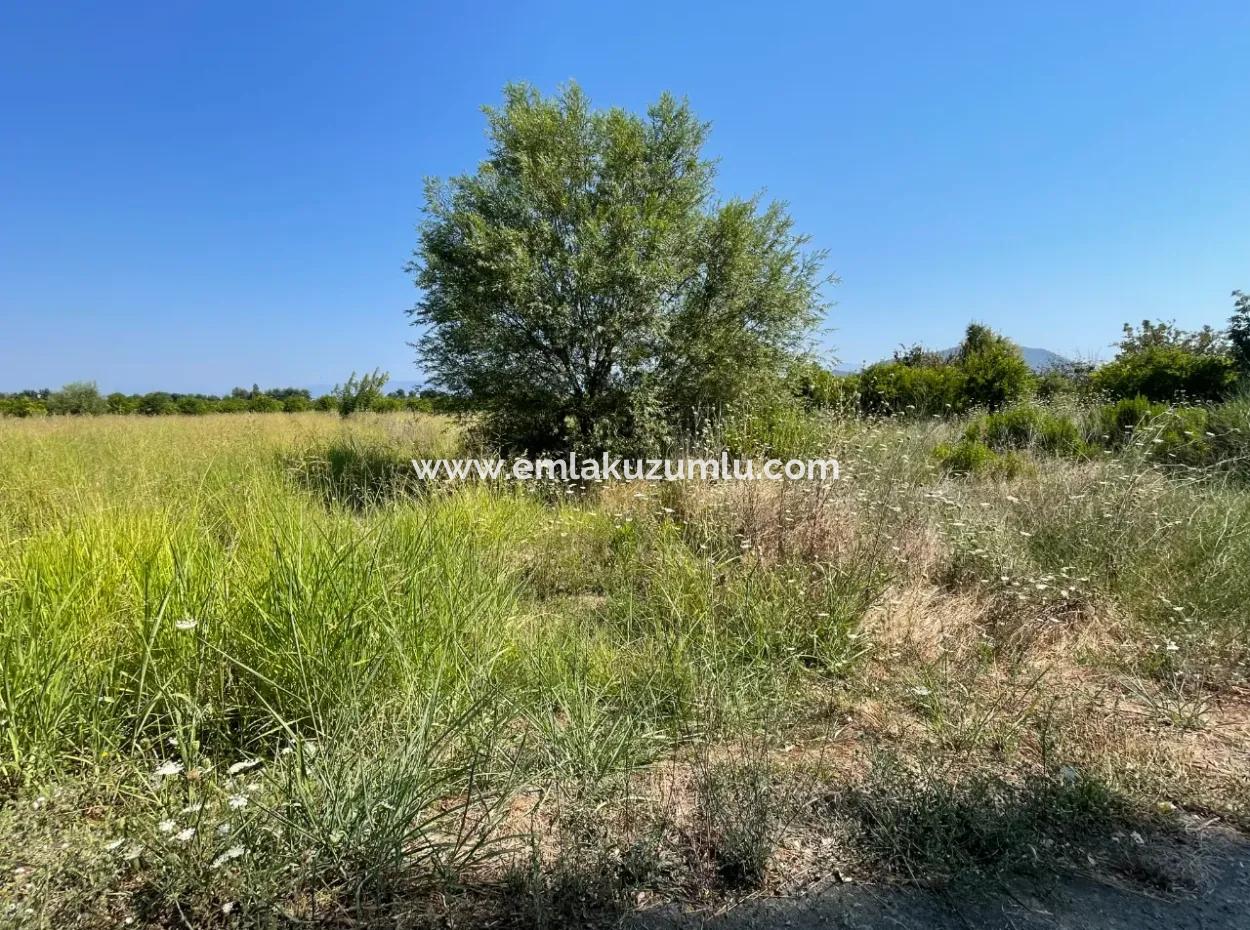 Okçular'da 1765 M2 Satılık Arsa