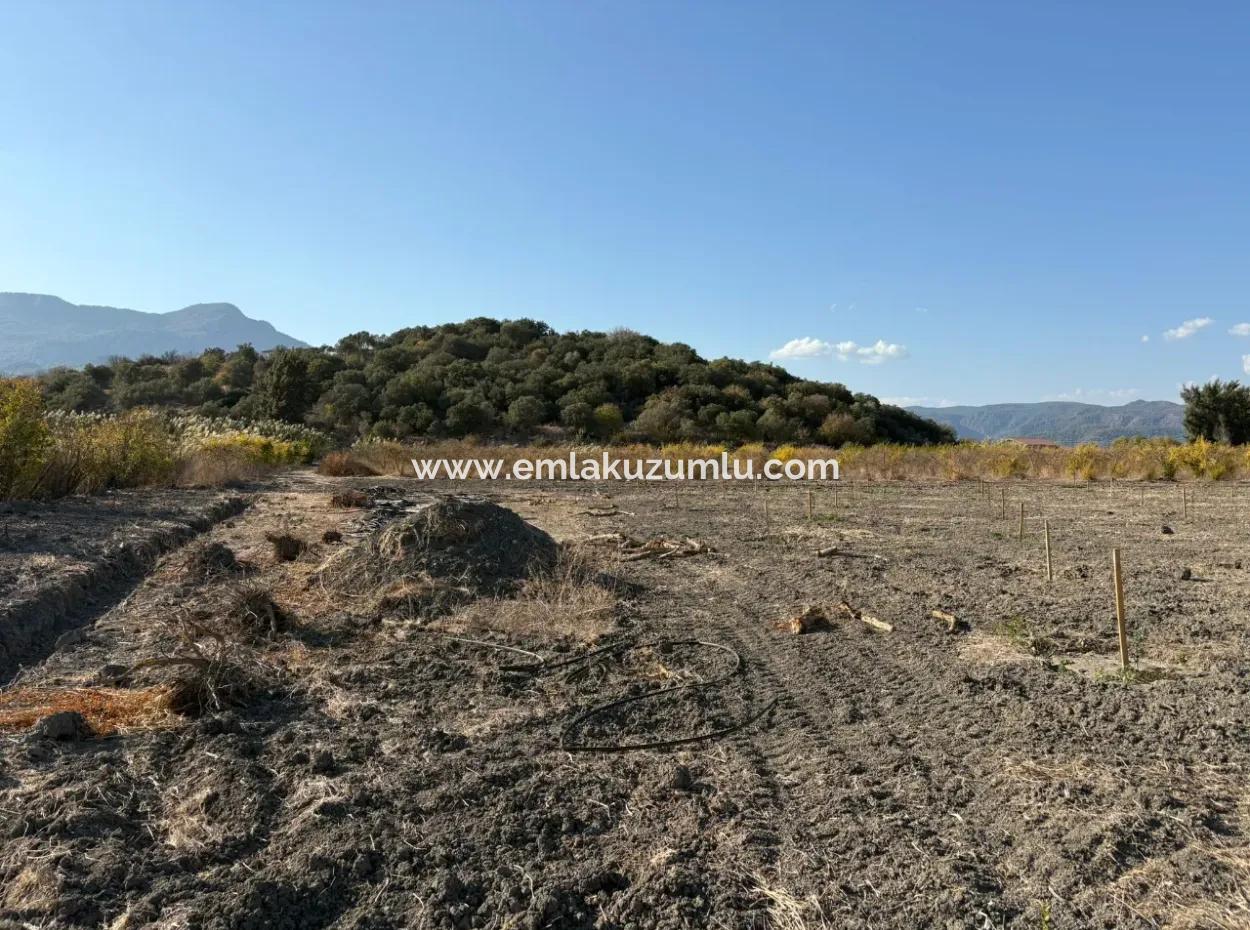 Eskiköy'de 19.663M2 Çiftlik Arazisi Ve Ev Satılıktır