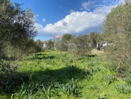 Ortaca Cumhuriyet Mahallesinde 401M2 Satılık Arsa